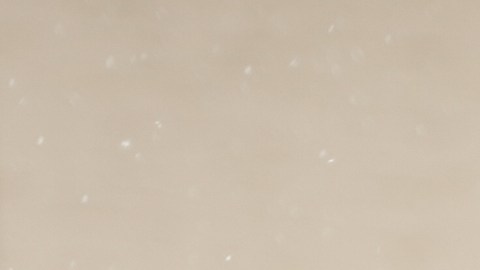 El caso ha generado atención entre defensores de derechos civiles y comunidades inmigrantes.