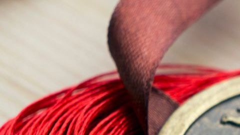 El zodiaco chino, representado por 12 signos animales, puede definir el camino al éxito.