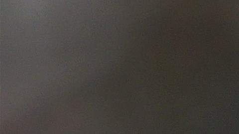 Esta semana será la última del Año de la Serpiente.