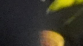 Tratar a los inmigrantes como una explicación general de la violencia puede ser un discurso sin sustento.