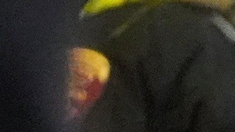 Tratar a los inmigrantes como una explicación general de la violencia puede ser un discurso sin sustento.