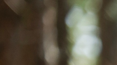 El ritmo que toman los astros es favorecedor para las personas de 5 signos.