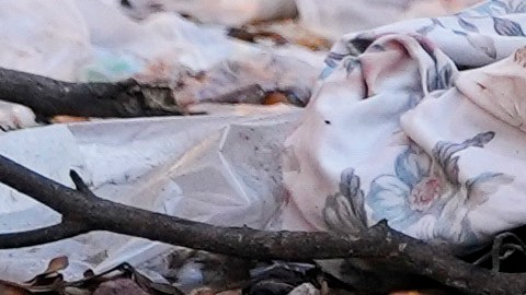 El cadáver de un hombre, con un tatuaje de la Virgen de Guadalupe en el brazo, yace tendido en una calle del barrio La Costerita de Culiacán, Sinaloa, México, en 2024. (Foto AP/Eduardo Verdugo)