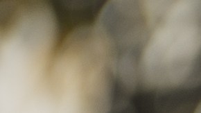 Existen personas que sienten el amor con intensidad mágica y podría deberse a su mes de nacimiento.