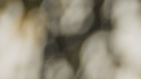 Existen personas que sienten el amor con intensidad mágica y podría deberse a su mes de nacimiento.