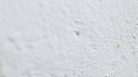 Lo correcto es que la mezcla de café y bicarbonato sea colocada en los rincones estratégicos, fuera del alcance de niños y mascotas.