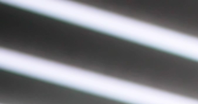 trámites de mudanza en usa