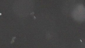 En los lugares más afectados podrían esperar entre 23 y 45 centímetros de nieve.