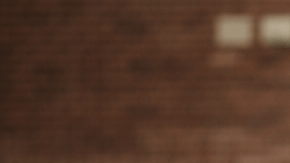 Tres niños de espalda con mochilas caminando hacia la entrada de una escuela en Estados Unidos