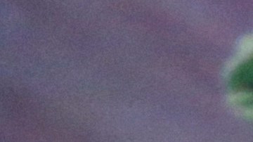 Expertos aseguran que el acceso a asesoría legal legítima se convierten en una necesidad urgente para la comunidad inmigrante.