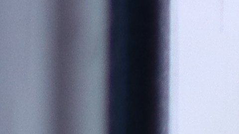 La presencia de aves en momentos específicos puede interpretarse como una señal del universo.