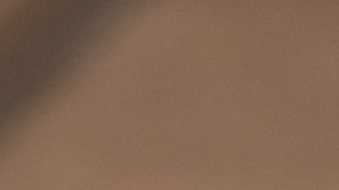 En las papas germinadas se aprecian brotes o raíces, producto del almacenamiento prolongado, humedad, calor o exposición a la luz.