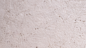 Pared interior con manchas de humedad, pintura descascarada y signos de moho cerca del zócalo