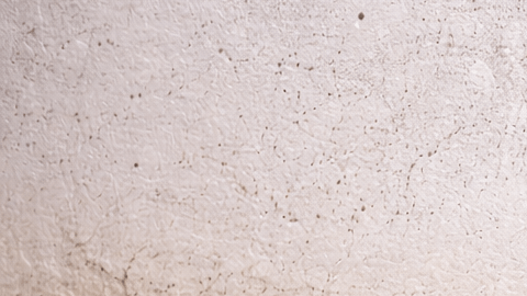 Pared interior con manchas de humedad, pintura descascarada y signos de moho cerca del zócalo