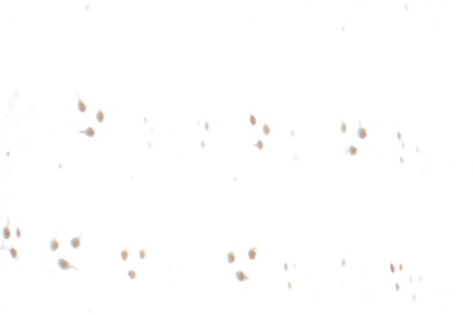 pedir días libres en el trabajo