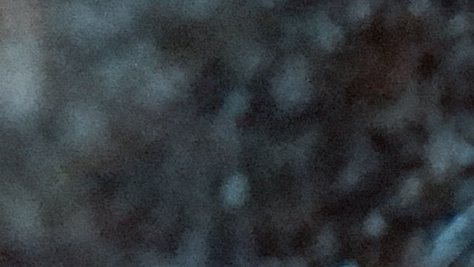 Piscis es simbolizado por los peces que van en sentidos opuestos.