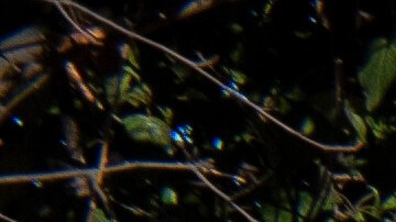 Casa Blanca califica de "poco seria" la contraoferta de los demócratas para reabrir el DHS