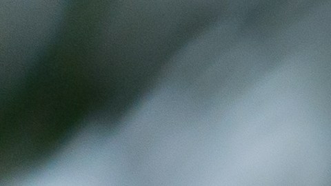 prestar un carro en estados unidos