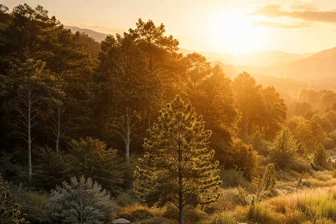 Puente ecológico para animales sobre la autopista 101 en California con venados cruzando mientras circulan autos debajo