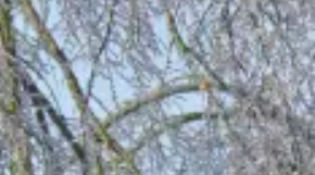 Cómo mantenerte protegido del frío cuando no tienes electricidad, esto te recomendamos