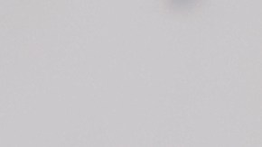 Regalar rosas es más que un gesto romántico.