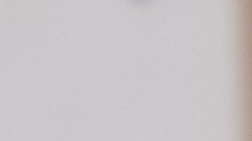 Regalar rosas es más que un gesto romántico.