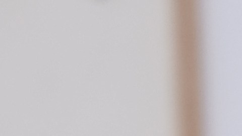 Regalar rosas es más que un gesto romántico.