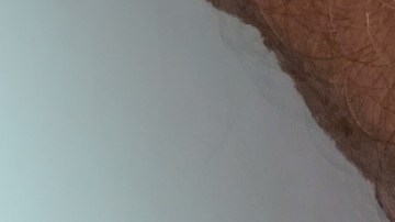 Brote de sarampión en centro de detención de ICE.