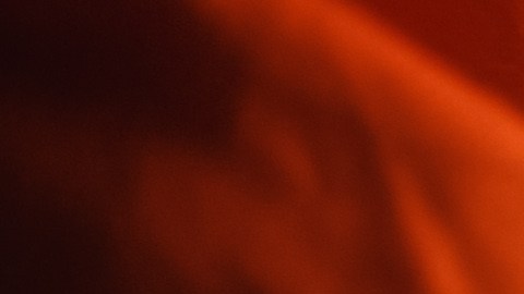 La víctima murió por estrangulamiento y asfixia tras una golpiza. Su cuerpo fue hallado días después en una zona rural del condado.