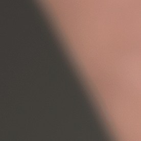 el hombre, de 72 años, habría disparado a la víctima en la cabeza, el cuello y el pecho luego de que ella iniciara formalmente el proceso de divorcio.