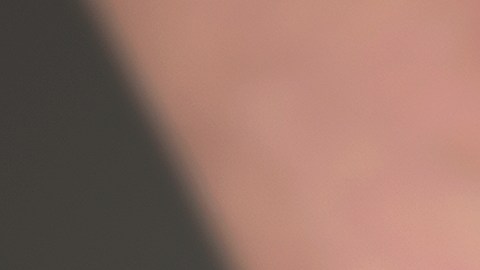 el hombre, de 72 años, habría disparado a la víctima en la cabeza, el cuello y el pecho luego de que ella iniciara formalmente el proceso de divorcio.