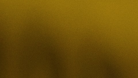 El jueves, la jueza del Tribunal del Distrito de Mecklenburg, Cecilia Oseguera, negó la libertad bajo fianza a las tres acusadas