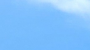 La policía arrestó a tres estudiantes de 20 años, miembros de la junta ejecutiva de Delta Tau Delta