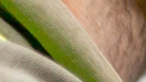 Hasta el momento, no se han divulgado detalles adicionales sobre las circunstancias de la muerte.