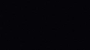 La operación fue organizada por un grupo civil y terminó con cargos por agresión menor. La sheriff Rosie Cordero-Stutz ordenó su despido inmediato.