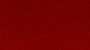 Investigan una posible intoxicación por monóxido de carbono, aunque la causa oficial de muerte aún no ha sido confirmada.