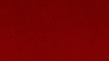 Investigan una posible intoxicación por monóxido de carbono, aunque la causa oficial de muerte aún no ha sido confirmada.