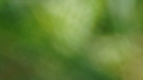 Valve se une a la larga lista de compañías afectadas por la escasez en el suministro de memorias RAM y unidades de almacenamiento SSD