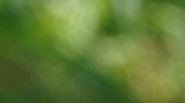 Valve se une a la larga lista de compañías afectadas por la escasez en el suministro de memorias RAM y unidades de almacenamiento SSD