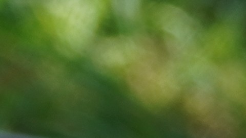 Valve se une a la larga lista de compañías afectadas por la escasez en el suministro de memorias RAM y unidades de almacenamiento SSD