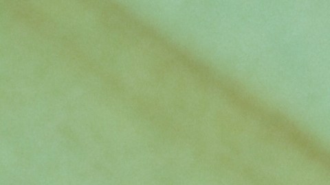 La postura asumida por Google ha generado fuertes críticas entre los usuarios