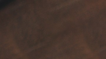 Clave para conseguir un empleo: la habilidad ideal según un experto de LinkedIn