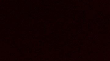 Dos oficiales murieron y otros dos resultaron heridos antes de que el sospechoso fuera abatido por las autoridades.