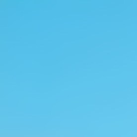 Hasta el momento, las mujeres involucradas no han sido identificadas públicamente, y no se han anunciado arrestos.