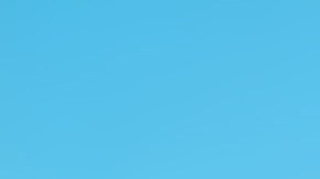 Hasta el momento, las mujeres involucradas no han sido identificadas públicamente, y no se han anunciado arrestos.