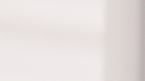 los therians son personas que se consideran animales y se comportan de esta manera en público