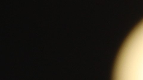 Edmonde Devalon, de 36 años, fue arrestada por la Miami-Dade County Sheriff's Office,