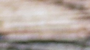 Maher Tarabishi permanece bajo custodia del ICE, mientras su familia y defensores de derechos civiles exigen su liberación para que pueda despedir a su hijo y asistir a su funeral