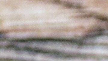 Maher Tarabishi permanece bajo custodia del ICE, mientras su familia y defensores de derechos civiles exigen su liberación para que pueda despedir a su hijo y asistir a su funeral