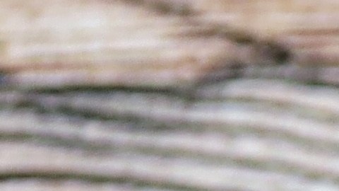 Maher Tarabishi permanece bajo custodia del ICE, mientras su familia y defensores de derechos civiles exigen su liberación para que pueda despedir a su hijo y asistir a su funeral